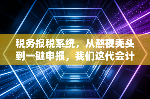 税务报税系统，从熬夜秃头到一键申报，我们这代会计人的爱恨情仇