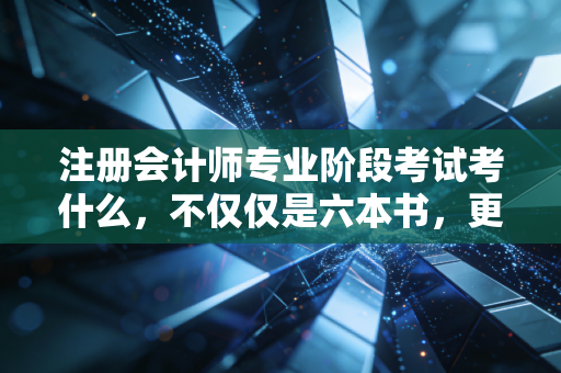 注册会计师专业阶段考试考什么，不仅仅是六本书，更是对商业逻辑的重塑