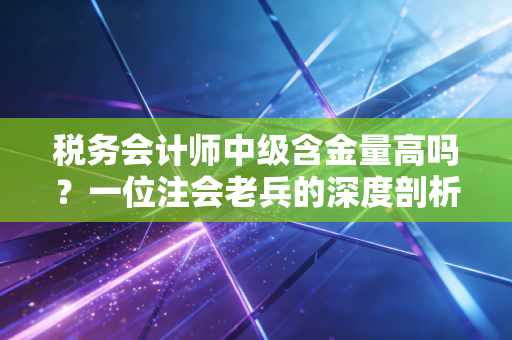 税务会计师中级含金量高吗？一位注会老兵的深度剖析与职场实话