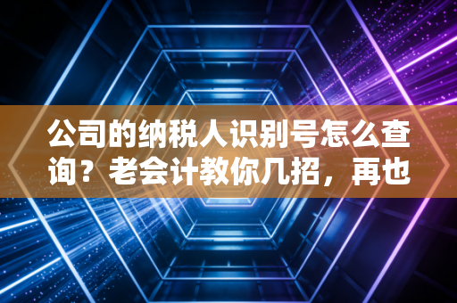公司的纳税人识别号怎么查询？老会计教你几招，再也不怕被卡在报销上了！
