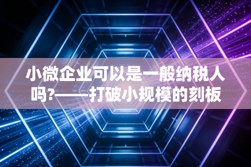 小微企业可以是一般纳税人吗?——打破小规模的刻板印象，聊聊身份选择的那些事儿