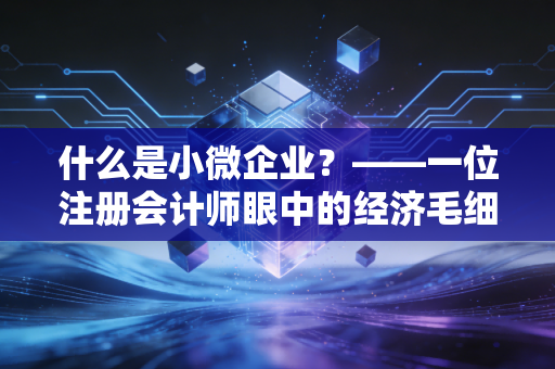 什么是小微企业？——一位注册会计师眼中的经济毛细血管与生存智慧