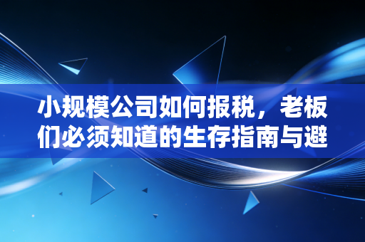 小规模公司如何报税，老板们必须知道的生存指南与避坑实录