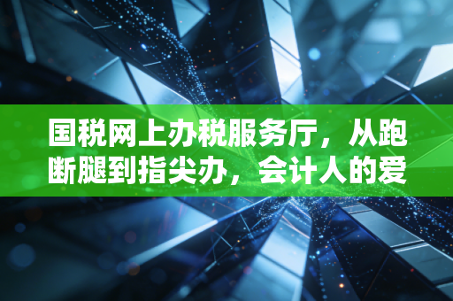 国税网上办税服务厅，从跑断腿到指尖办，会计人的爱恨情仇与数字化生存指南