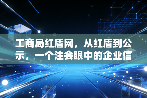 工商局红盾网，从红盾到公示，一个注会眼中的企业信用变迁与查账实战