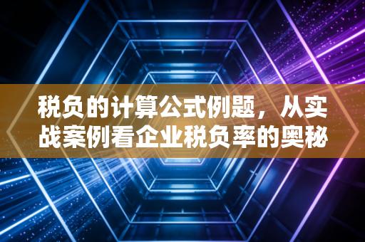 税负的计算公式例题，从实战案例看企业税负率的奥秘与风险管控