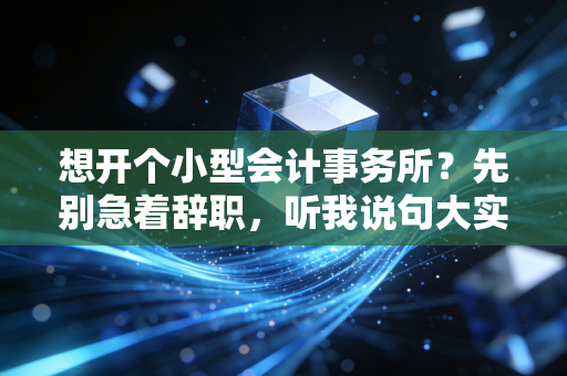 想开个小型会计事务所?先别急着辞职,听我说句大实话