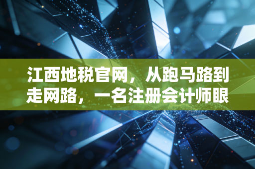 江西地税官网，从跑马路到走网路，一名注册会计师眼中的赣鄱税务变迁