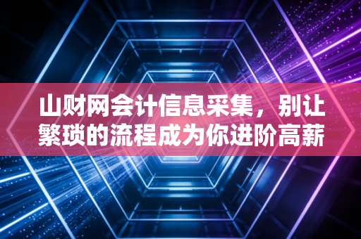 山财网会计信息采集,别让繁琐的流程成为你进阶高薪财务的拦路虎