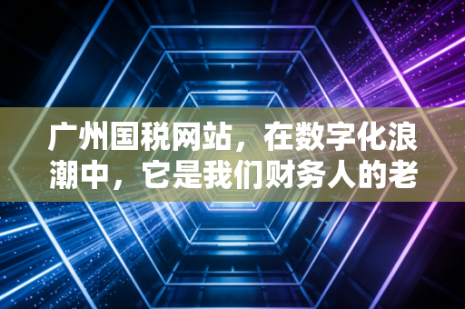 广州国税网站，在数字化浪潮中，它是我们财务人的老伙计