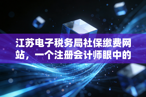 江苏电子税务局社保缴费网站，一个注册会计师眼中的数字化便利与实操指南