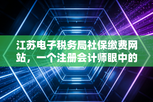 江苏电子税务局社保缴费网站，一个注册会计师眼中的数字化便利与实操指南