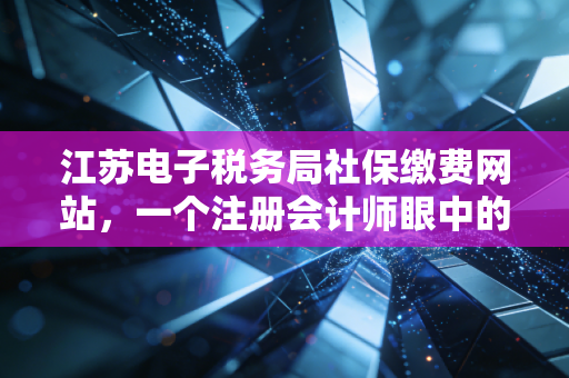 江苏电子税务局社保缴费网站，一个注册会计师眼中的数字化便利与实操指南