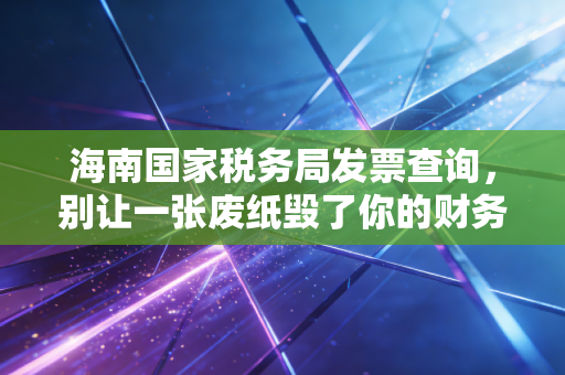海南国家税务局发票查询，别让一张废纸毁了你的财务报销与税务合规