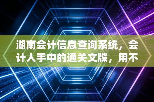 湖南会计信息查询系统，会计人手中的通关文牒，用不好真的会掉坑