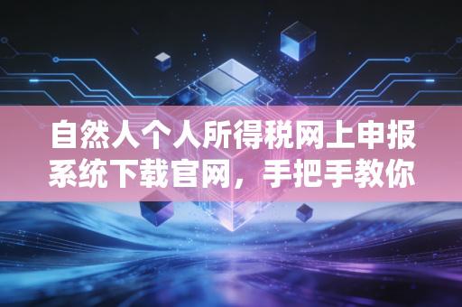 自然人个人所得税网上申报系统下载官网,手把手教你安全申报,避开那些坑