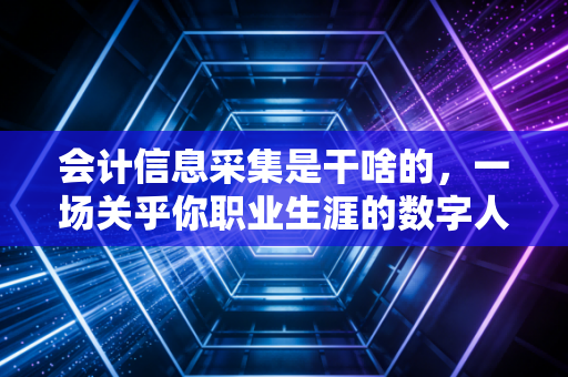 会计信息采集是干啥的，一场关乎你职业生涯的数字人口普查