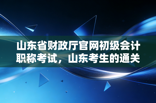 山东省财政厅官网初级会计职称考试，山东考生的通关秘籍与职业启示