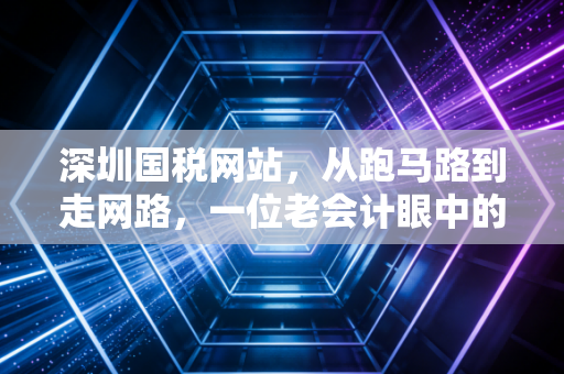深圳国税网站，从跑马路到走网路，一位老会计眼中的深圳税务数字化变迁史