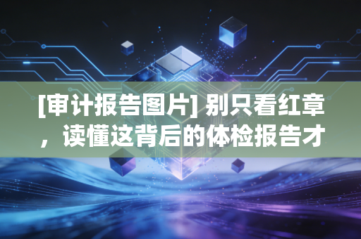 [审计报告图片] 别只看红章，读懂这背后的体检报告才是投资护身符