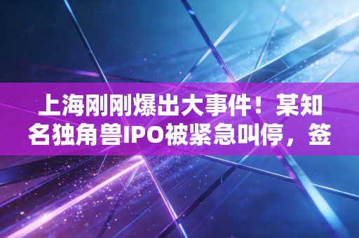 上海刚刚爆出大事件!某知名独角兽IPO被紧急叫停,签字注会连夜补底稿,这行还能干吗?