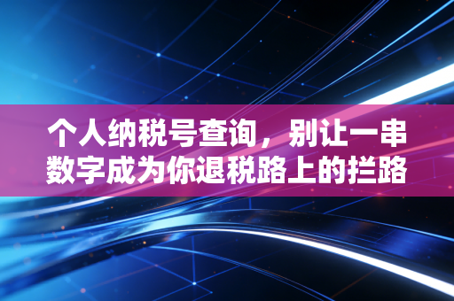 个人纳税号查询,别让一串数字成为你退税路上的拦路虎