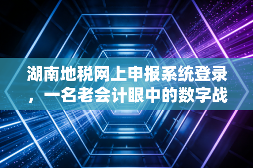 湖南地税网上申报系统登录，一名老会计眼中的数字战场与生存法则