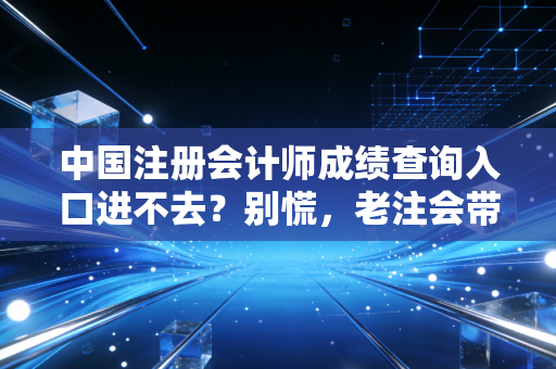 中国注册会计师成绩查询入口进不去？别慌，老注会带你拆解这场年度网络大戏背后的焦虑与希望