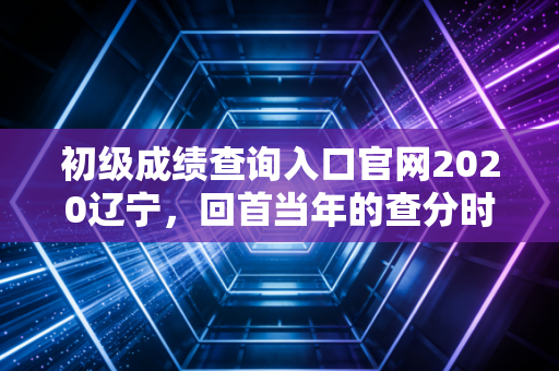 初级成绩查询入口官网2020辽宁，回首当年的查分时刻，聊聊会计考证的那些酸甜苦辣