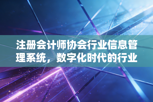 注册会计师协会行业信息管理系统，数字化时代的行业中枢与每一位注会人的隐形伴侣