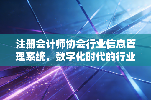 注册会计师协会行业信息管理系统，数字化时代的行业中枢与每一位注会人的隐形伴侣