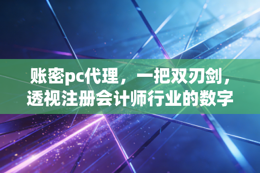 账密pc代理,一把双刃剑,透视注册会计师行业的数字化隐痛与未来
