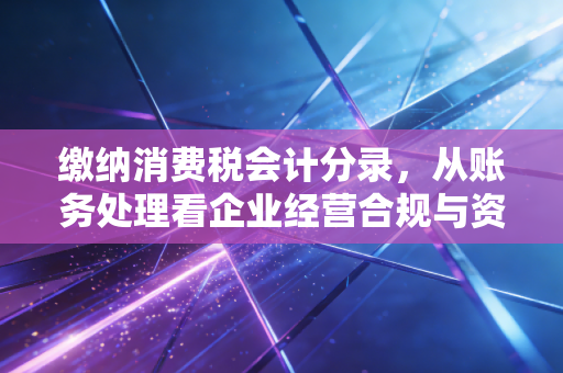 缴纳消费税会计分录,从账务处理看企业经营合规与资金流动的底层逻辑