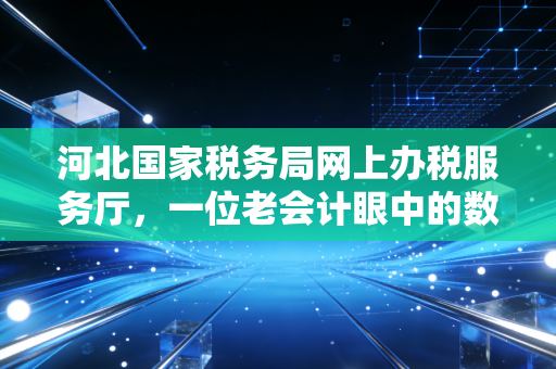 河北国家税务局网上办税服务厅,一位老会计眼中的数字化办税新体验与实操心得