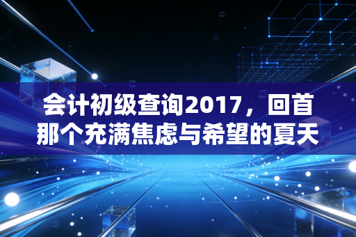 会计初级查询2017,回首那个充满焦虑与希望的夏天,聊聊考证背后的职场真相