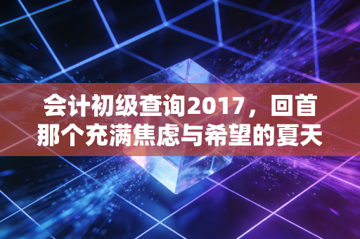 会计初级查询2017,回首那个充满焦虑与希望的夏天,聊聊考证背后的职场真相
