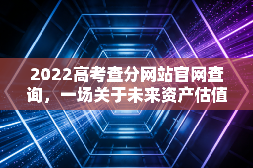 2022高考查分网站官网查询,一场关于未来资产估值的审计时刻