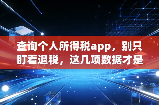 查询个人所得税app，别只盯着退税，这几项数据才是你财务健康的晴雨表