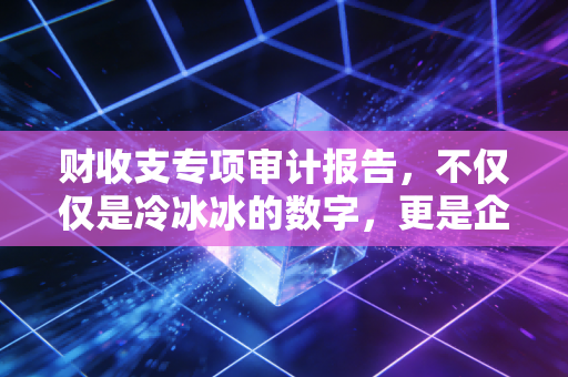 财收支专项审计报告,不仅仅是冷冰冰的数字,更是企业健康的听诊器