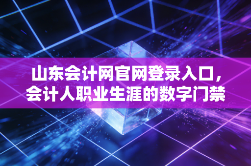 山东会计网官网登录入口，会计人职业生涯的数字门禁与进阶指南