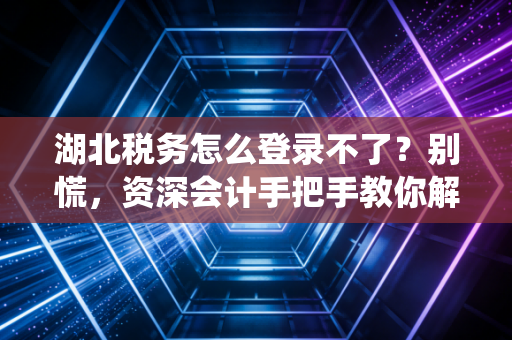 湖北税务怎么登录不了？别慌，资深会计手把手教你解决这5个常见难题与系统背后的真相