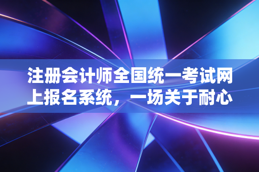 注册会计师全国统一考试网上报名系统,一场关于耐心、运气与决心的数字战役