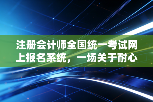 注册会计师全国统一考试网上报名系统,一场关于耐心、运气与决心的数字战役