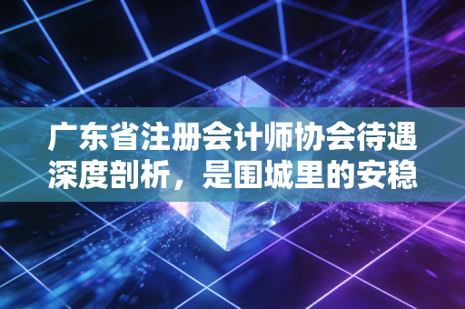 广东省注册会计师协会待遇深度剖析,是围城里的安稳,还是职业发展的洼地?