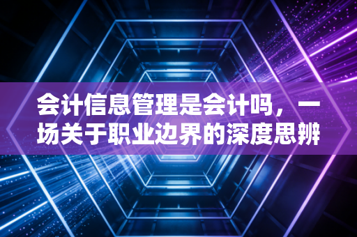 会计信息管理是会计吗，一场关于职业边界的深度思辨