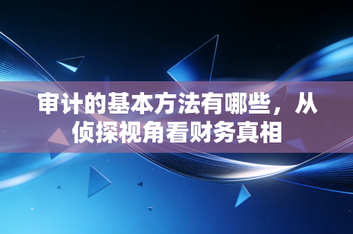 审计的基本方法有哪些,从侦探视角看财务真相