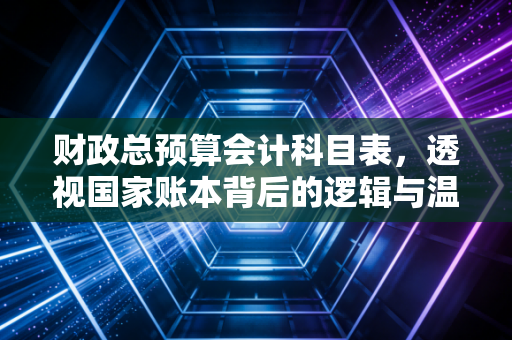 财政总预算会计科目表，透视国家账本背后的逻辑与温度