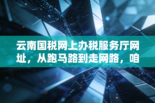 云南国税网上办税服务厅网址,从跑马路到走网路,咱们会计人的那些进阶之路