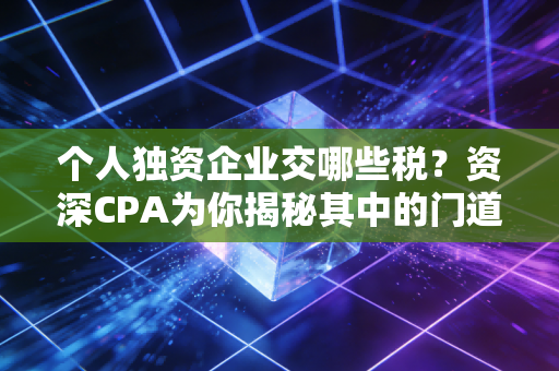 个人独资企业交哪些税？资深CPA为你揭秘其中的门道与风险