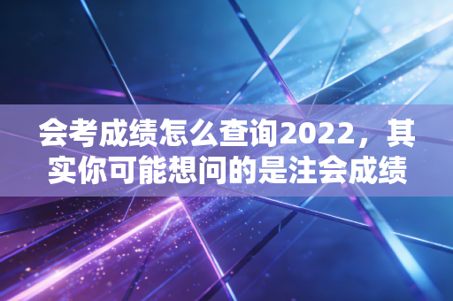 会考成绩怎么查询2022,其实你可能想问的是注会成绩查询——一份关于坚持与释怀的专业指南